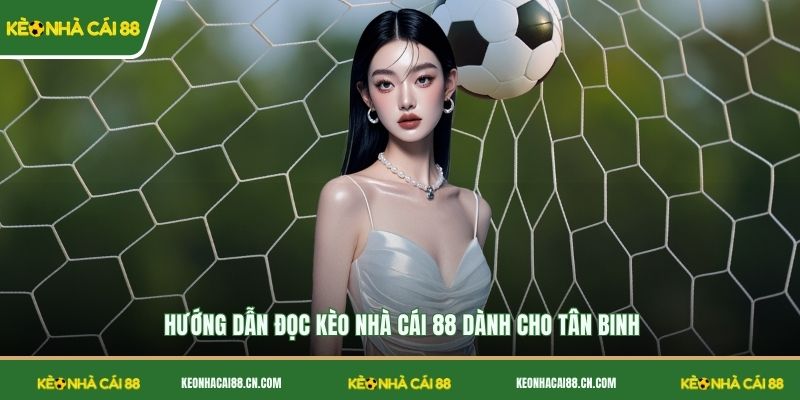 Hướng dẫn đọc Kèo Nhà Cái 88 dành cho tân binh